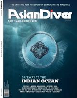 Issue 166