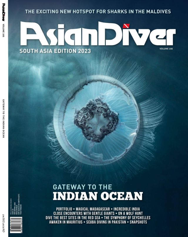 Asian Diver