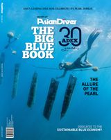 Issue 167