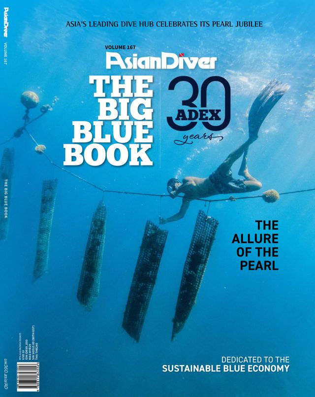 Asian Diver