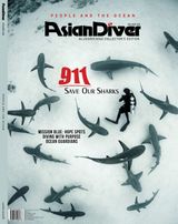 Issue 168