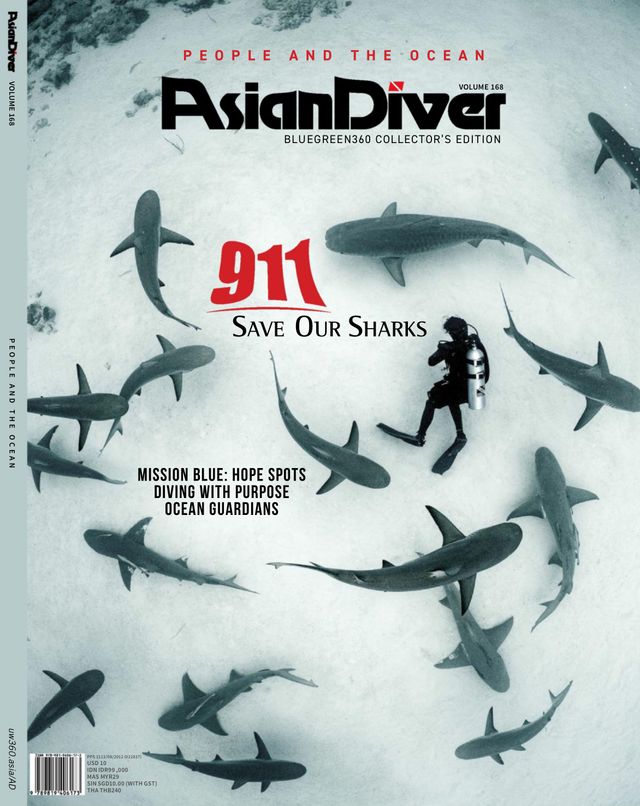 Asian Diver