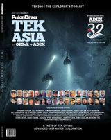 Asian Diver