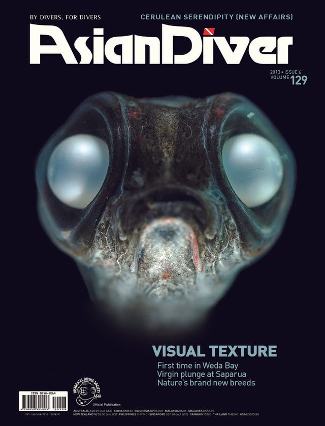 Asian Diver