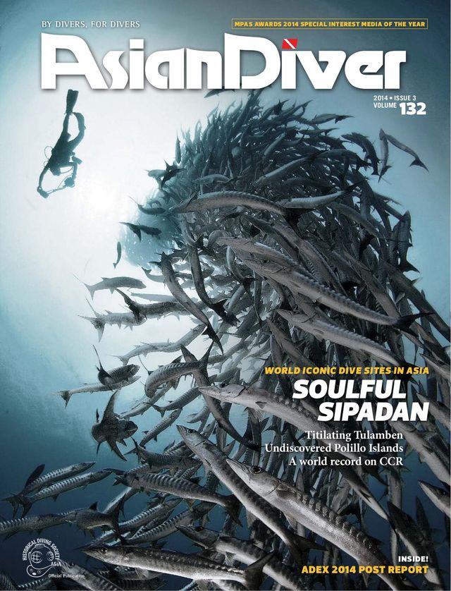 Asian Diver