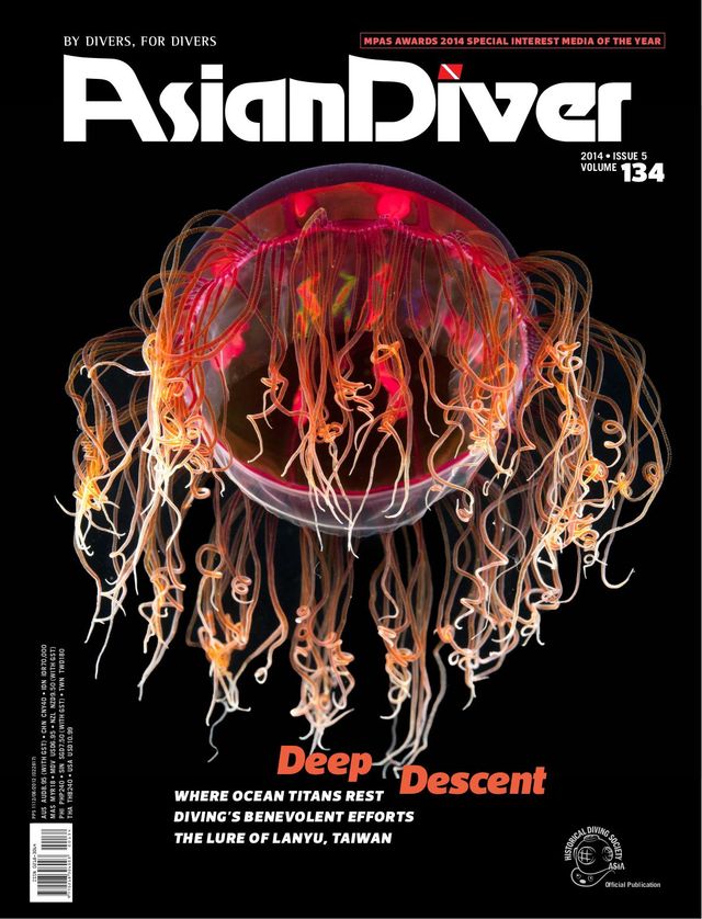 Asian Diver