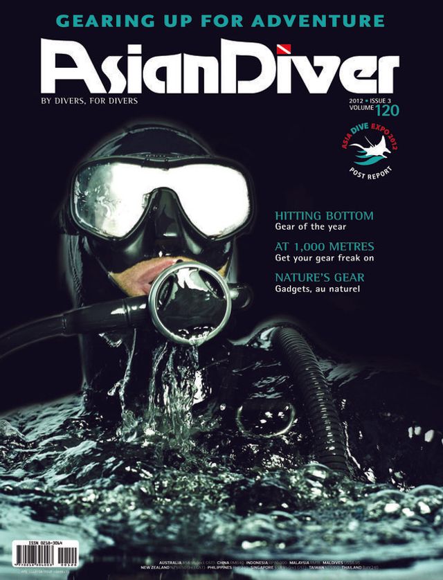 Asian Diver