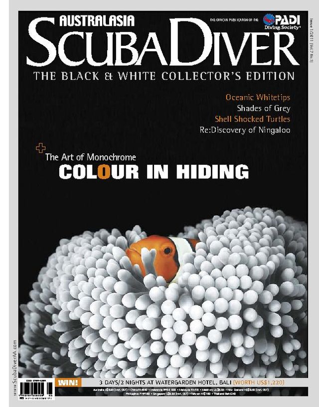 Scuba Diver International
