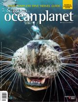Issue 06 - 2016
