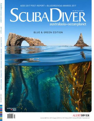 Scuba Diver