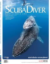 Issue 04-2017 (110)