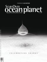 Issue 01 - 2018(111)