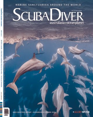 Scuba Diver