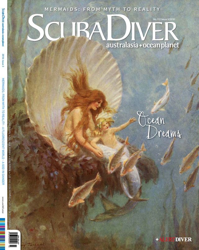 Scuba Diver International