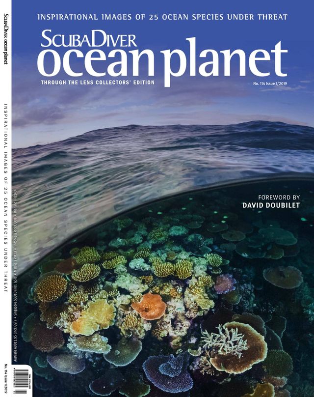 Scuba Diver International