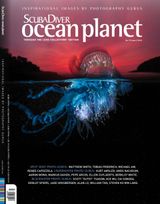 Issue 01 - 2020(117)