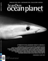 Issue 01 - 2021(120)