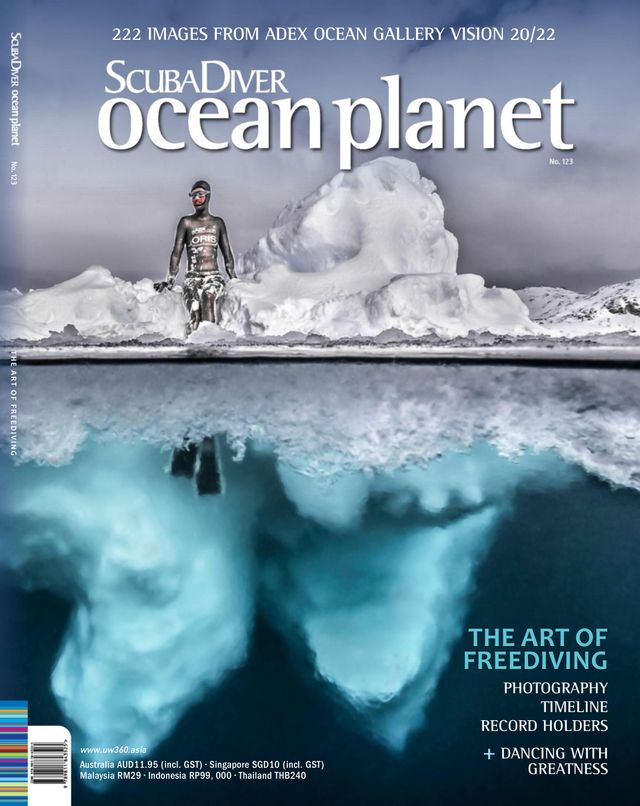 Scuba Diver International