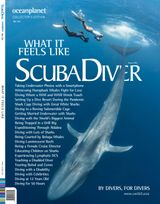 Issue 124