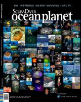 Issue 125
