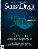 Issue 126