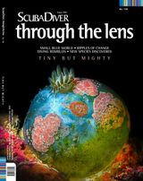 Issue 128