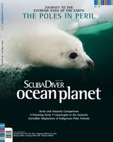 Issue 129