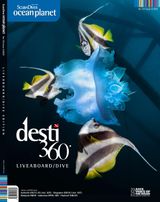 Scuba Diver International