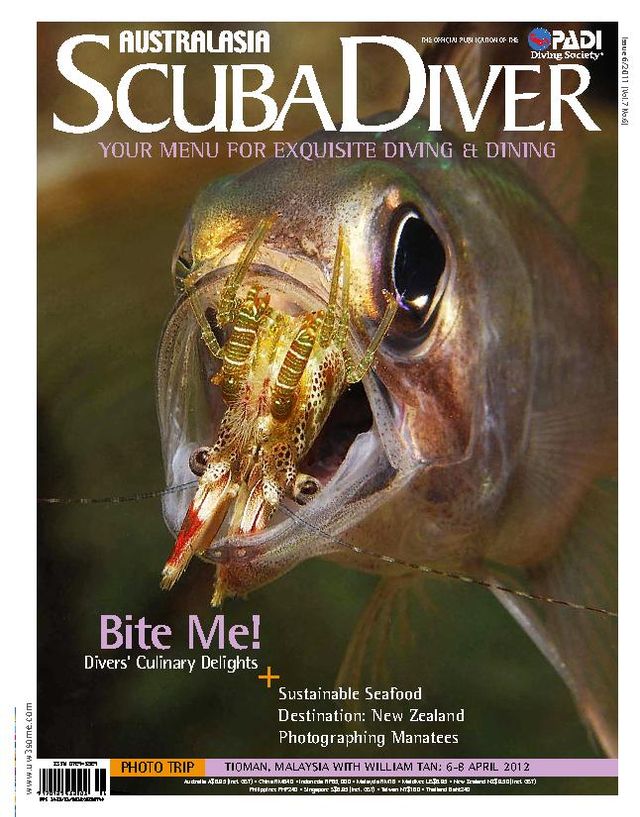 Scuba Diver International