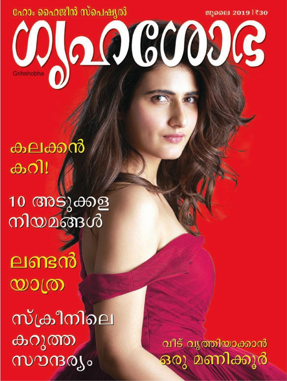 Grihshobha MalayalamJuly 2019 Magazine Get your Digital Subscription