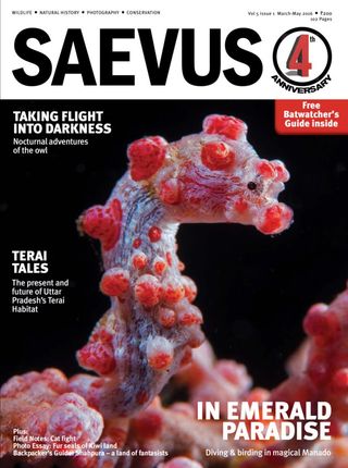 Saevus - SAEVUS NOVEMBER 23 MARCH 24 Saevus Cover - SAEVUS NOVEMBER 23 MARCH 24 Edition