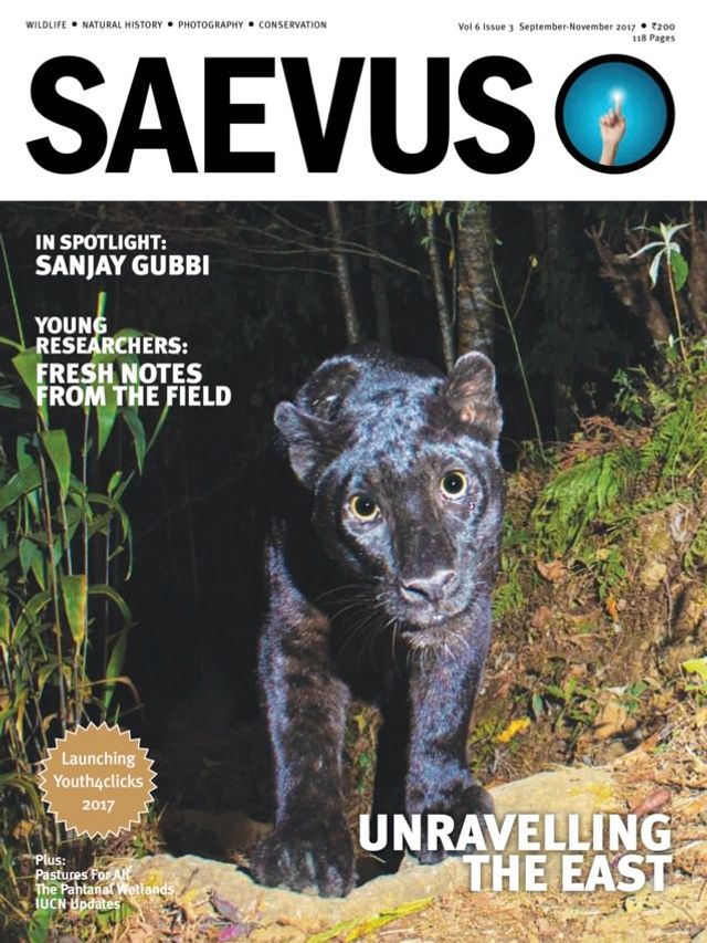 Magzter GOLD ile Sınırsız Olun