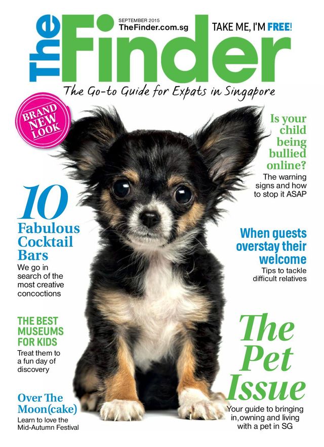 The Finder Singapore