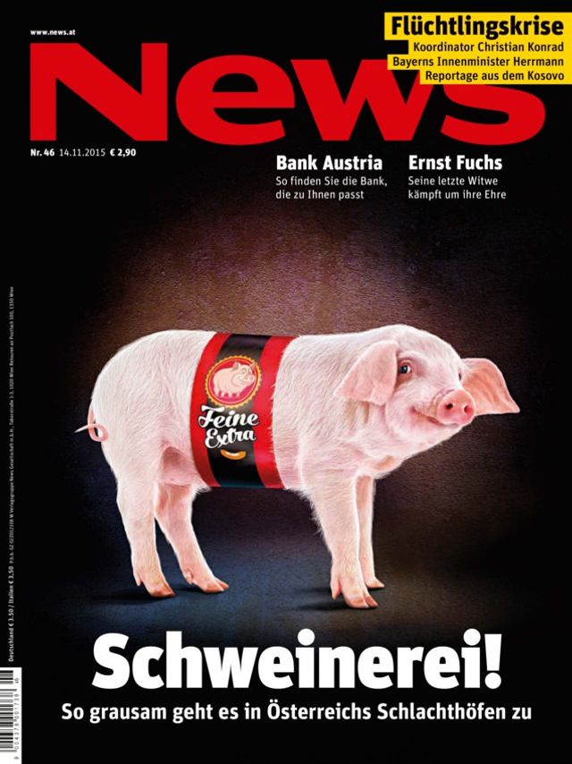 NEWS