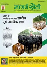 Modern Kheti - Hindi