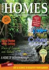 Issue 7