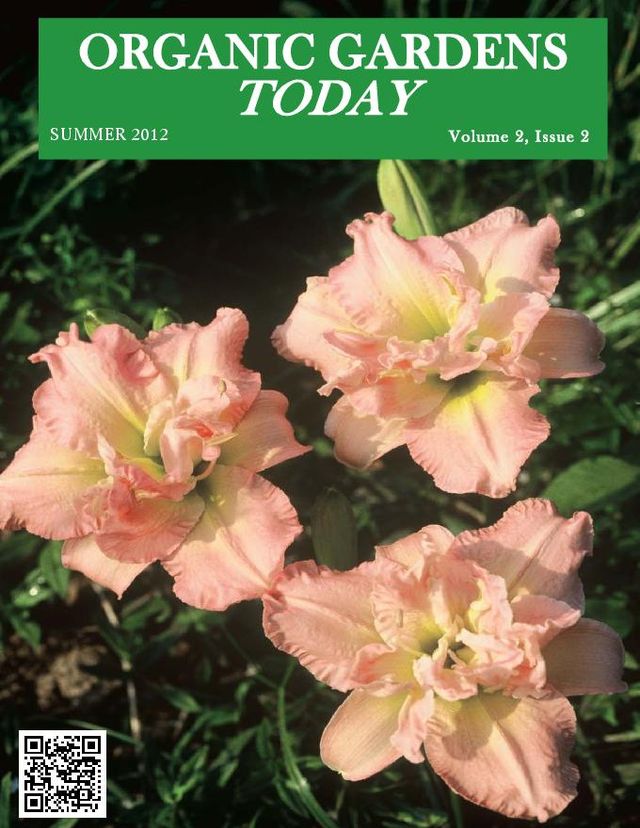 Organic Gardens Today