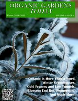 OGT WINTER 2014/2015