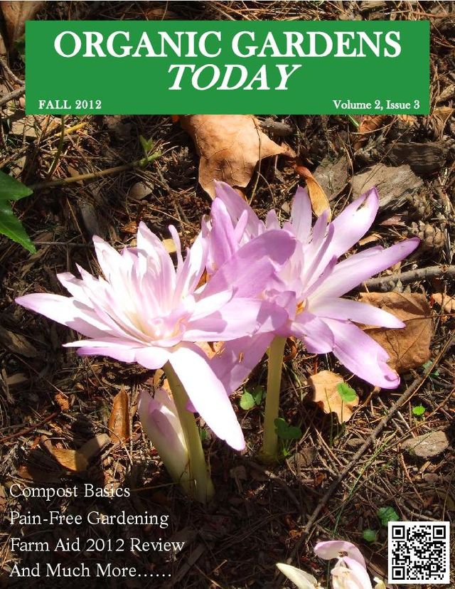 Organic Gardens Today