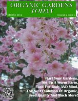 Spring 2014