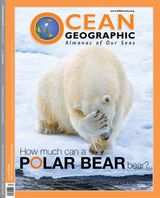 Issue 30