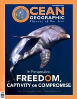 Issue 32