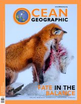 Issue 35