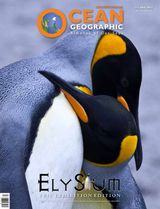 Issue 24:2 - 2013 The Elysium Portfolio Exhibition edition