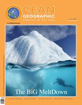 The Polar Edition