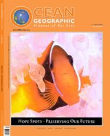 Issue 28