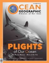 Issue 29
