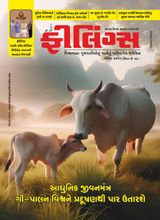 Feelings April 2025 Edition