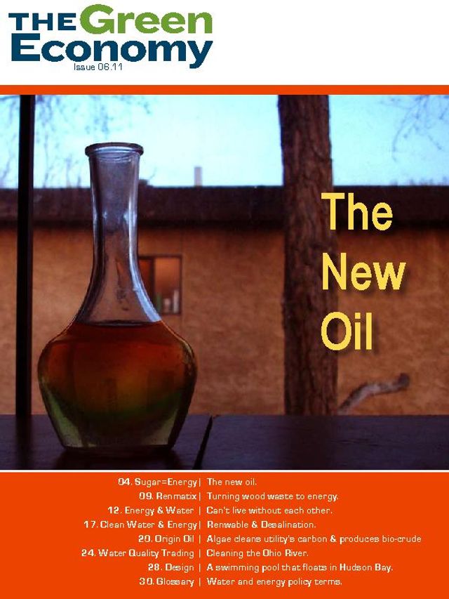 The Green Economy