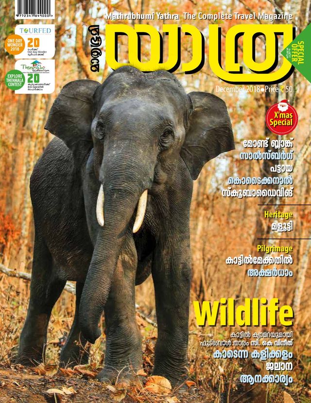 Mathrubhumi Yathra
